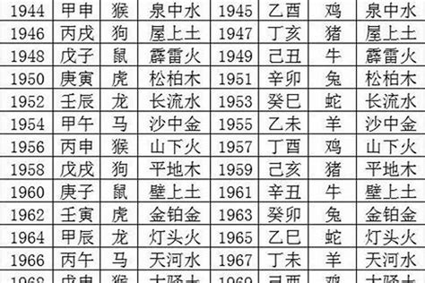 1995 五行|【1995年 五行】1995年五行屬什麼？揭曉你的命理密碼！